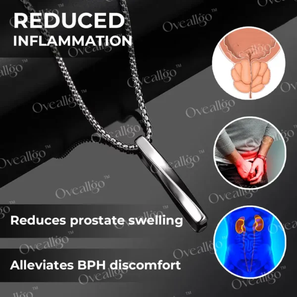 Oveallgo™ ProstaCore Titanium Healing Necklace