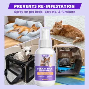 BBOJI™ Flea & Tick Kolirin Spray